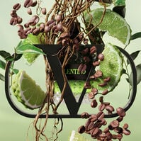 BORN IN ROMA UOMO GREEN STRAVAGANZA  100ml-218064 BORN IN ROMA UOMO GREEN STRAVAGANZA  100ml-218064 2